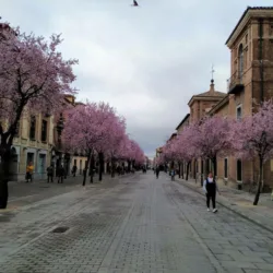 calle libreros