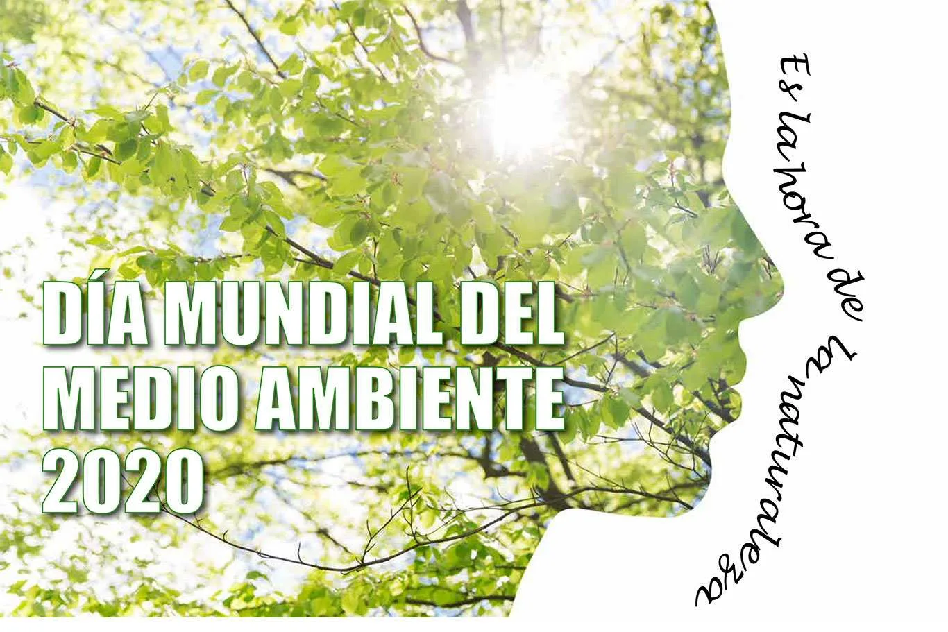 meidoambientealcala