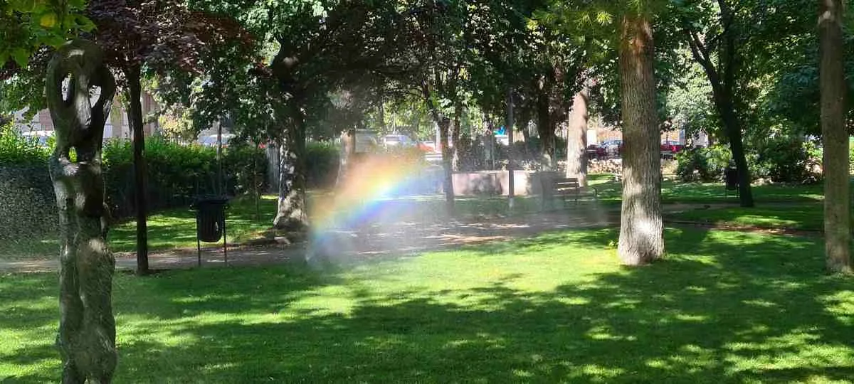 parque cesped