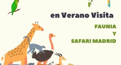 Visitar Faunia y Safari Madrid. Disfruta del verano en Madrid