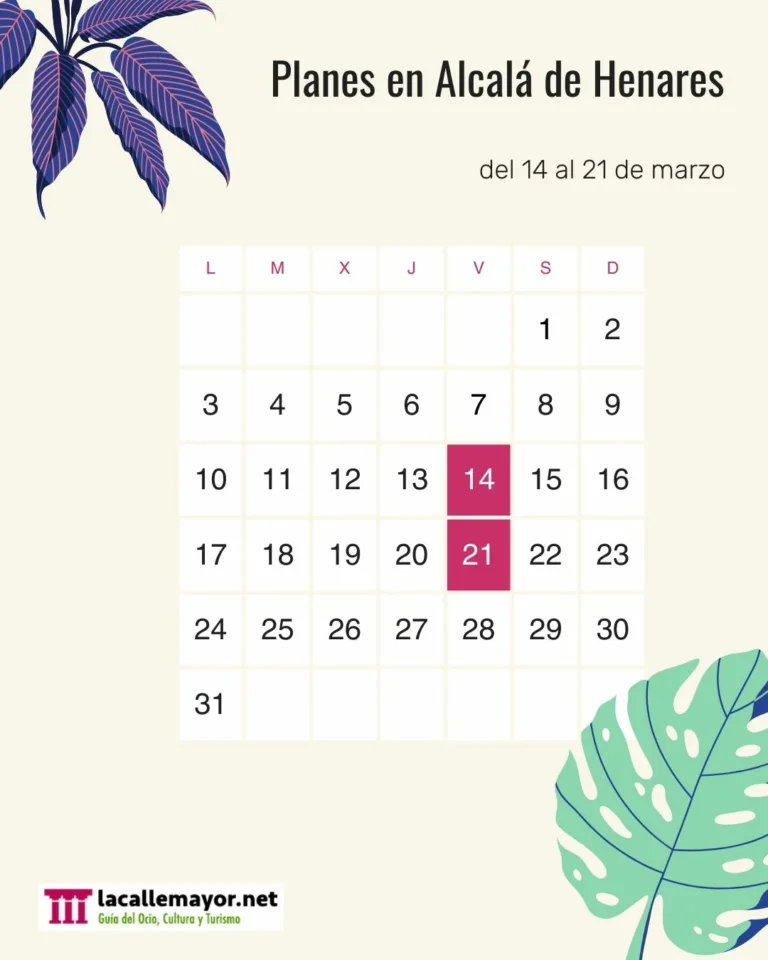 planes 14 al 21