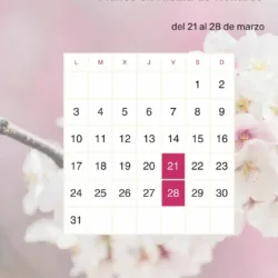 ¿Qué hacer esta semana en Alcalá de Henares?