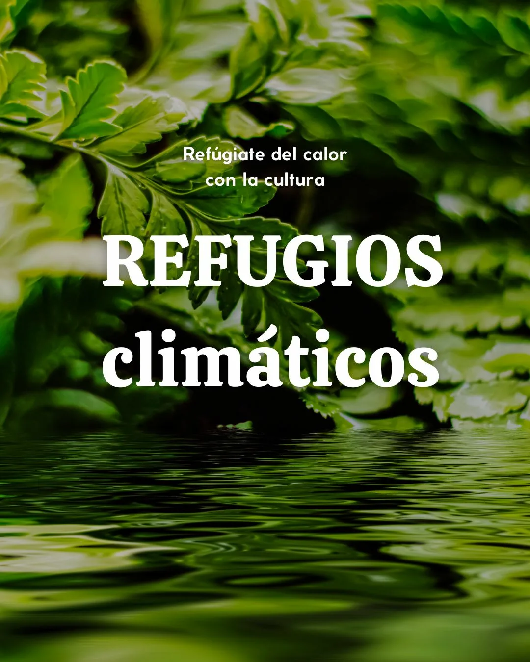 refugios climaticos