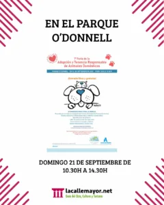 feria adopcion