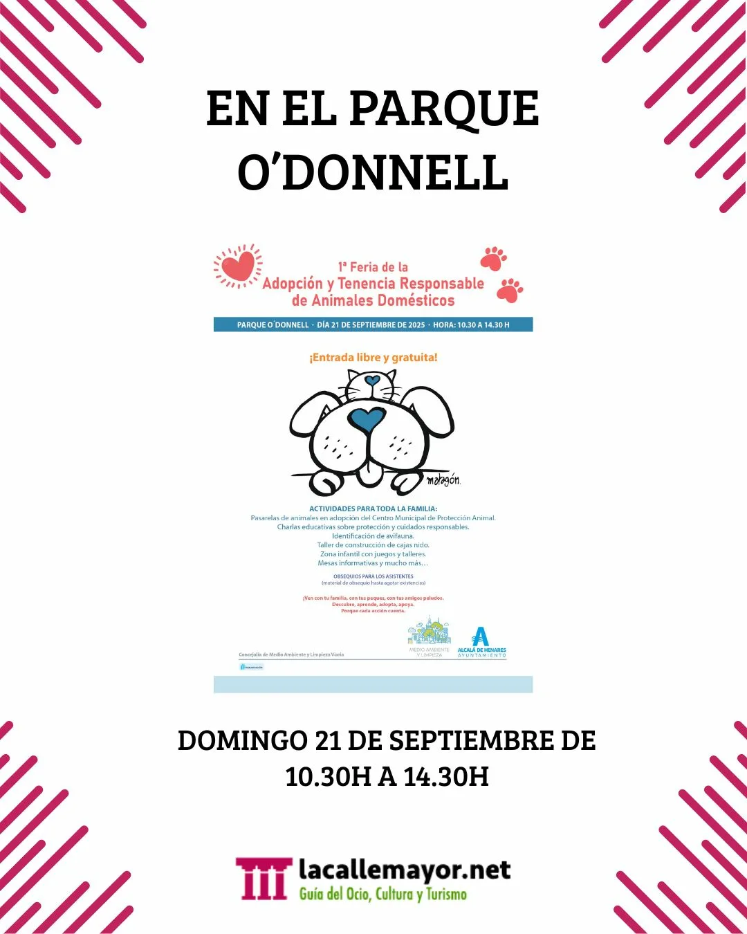 feria adopcion