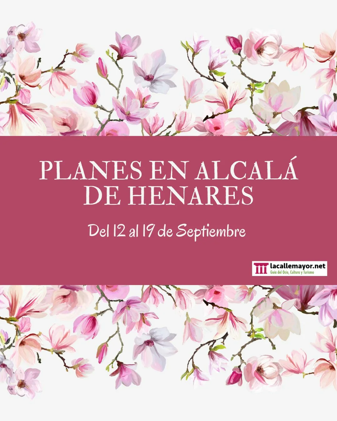 planes en alcala