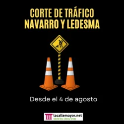 navarro y ledesma