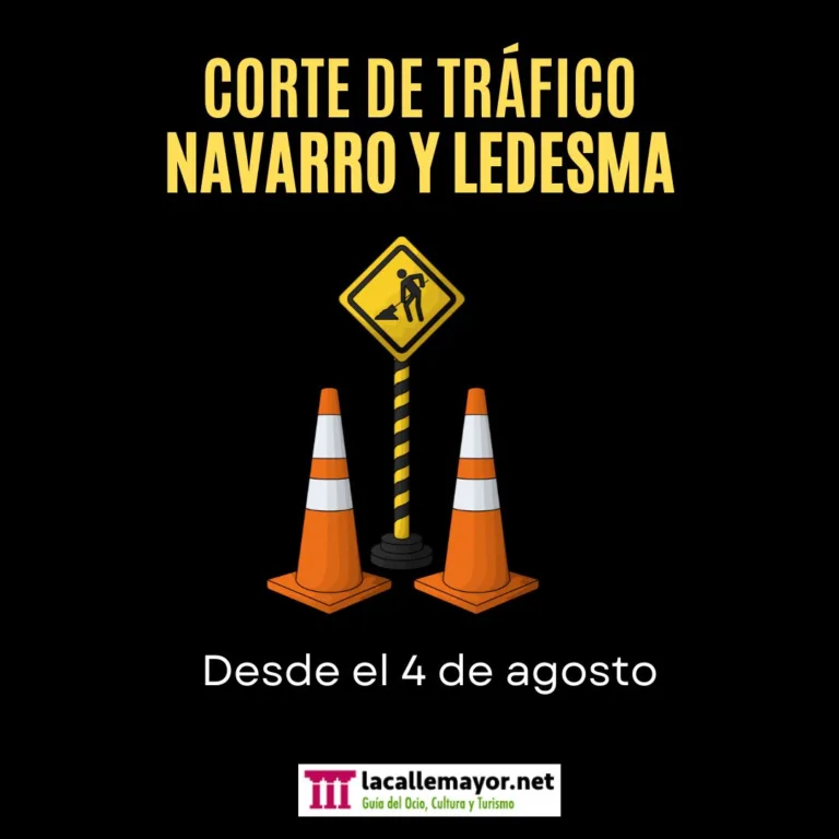 navarro y ledesma