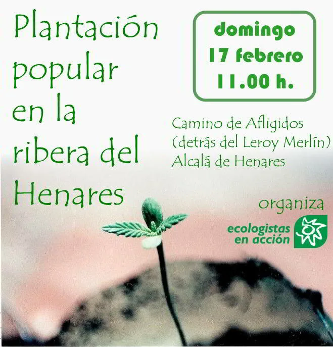 plantacion popular