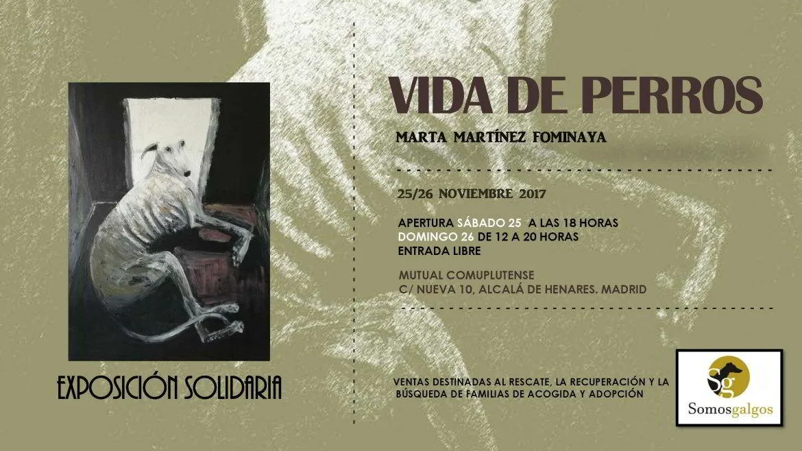 vida de perros