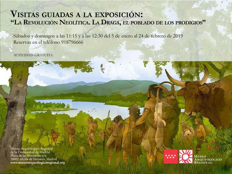 arqueologico la draga