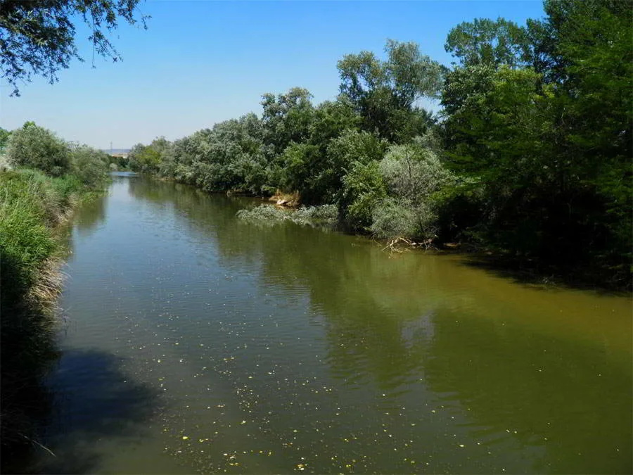 rio henares