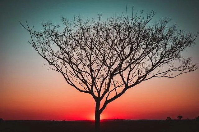 atardecer